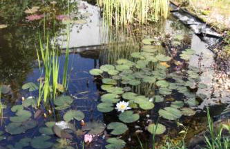 Gemütliche Gästezimmer in einem neu sanierten Fachwerkhaus - Foto 12