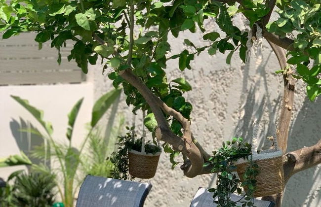 Hillside Cabana Maisonette in Koskinou Rhodes - Foto 37