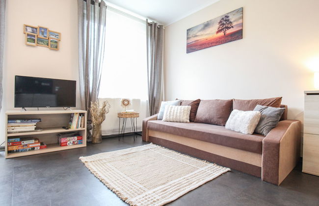 Resident Harrachov B - Foto 20