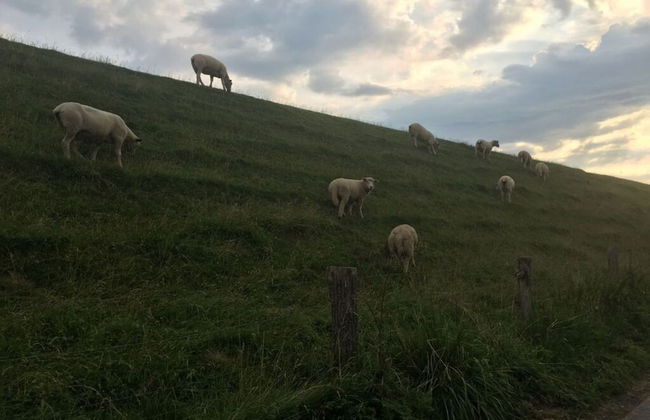 At the Old Sea Dike Comfortable Vacation Home - Foto 12