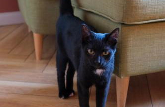 Domek ogrzewany pompą ciepła - Photo 42