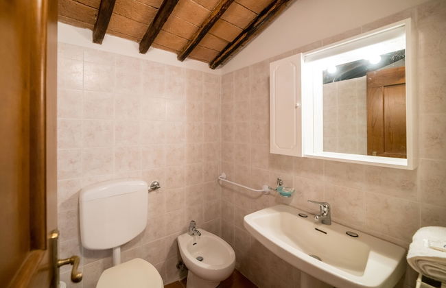 Fattoria di Cintoia - Photo 45