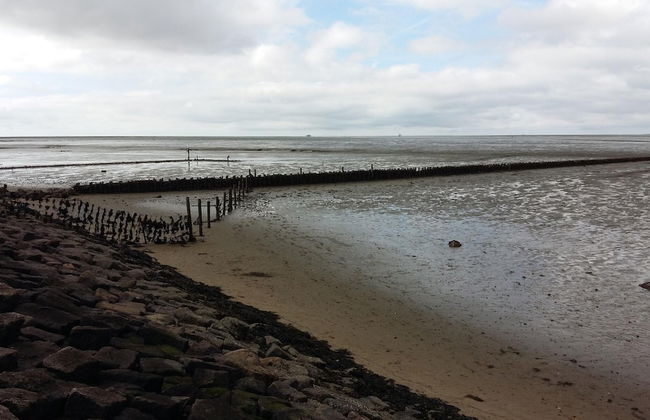 Penthouse am Nordstrand auf dem Deich - Foto 37