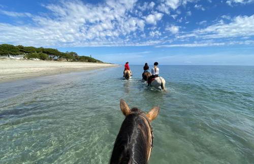 Maison au calme piscine mer au coeur de la nature U Nuciolu - Foto 47