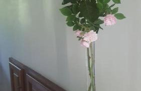 Cévennes Méridionales maison linge fourni - Foto 23