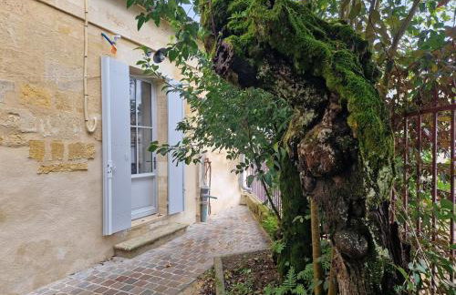 Studio des Caves de la Tour Du Roy St Emilion - Foto 18