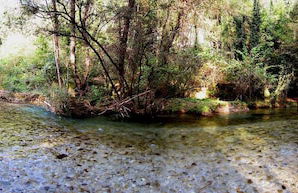 Comfortable House - Garden and Parking - Photo 37