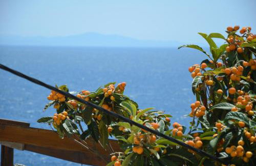 Villa ForTudor - Photo 23