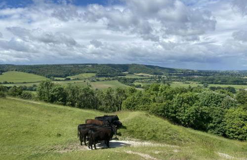 Tudor Rose Cottage - Foto 37