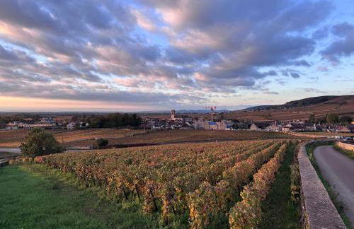 Escapade à Pommard - Foto 33