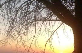 Increíble Casa Rural en la Sierra de Altomira Piscina privada y Barbacoa - Foto 26