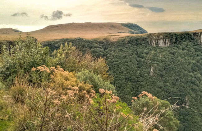 Escursione a Urubici e Serra do Río do Rastro - Foto 2