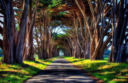 The Quail's Nest Retreat - Foto 10