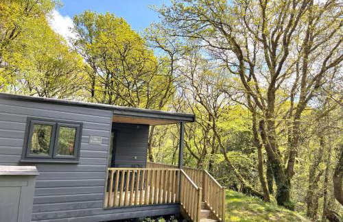 HiveAway - Hot Tub - Carmarthenshire - Pembrokeshire - Foto 13