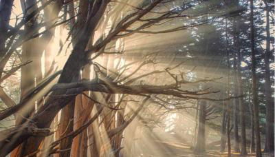 Stunning Oceanview Coastal Home Beach Trails Family Activities - Foto 2