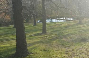 Buffalo River Lodge St Joe AR - Foto 45