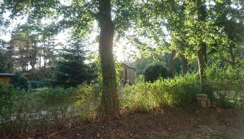 Waldhaus Halvor - Foto 5, Garden