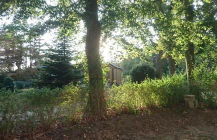 Waldhaus Halvor - Foto 5