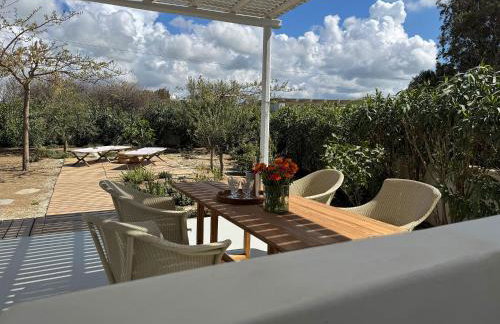 Argana Naxos private villa with pool and garden - Foto 28