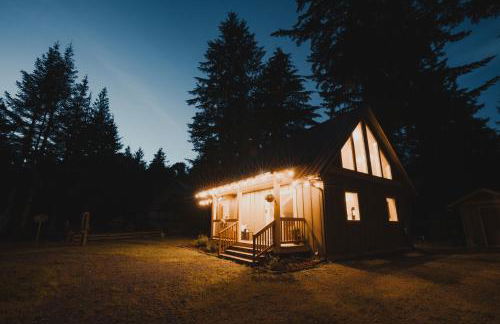 Cabin Minutes to Mt Rainier - EV, HotTub, 2 Queen and Twin - Photo 21