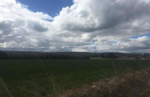 El Carro del Abuelo - Foto 38