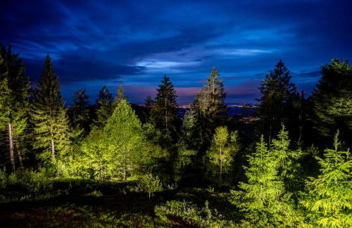 Sonnenhäusle - Natur. Fernblick. Panorama-Sauna. - Foto 78