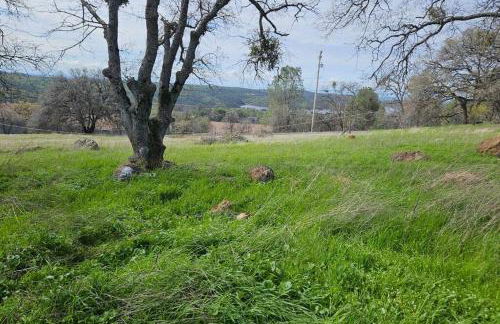 Lakeview Dome - Foto 25