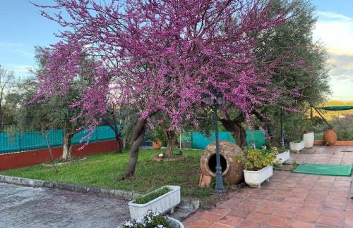 Casa situada en un entorno natural Casa Rural La Serena - Foto 19