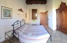 Azienda agricola biologica Le Lucciole - Foto 44