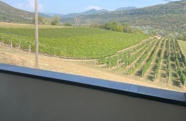 Villa Bellevue - Foto 49