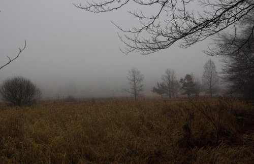 Ferienhaus Vennblick - Foto 52