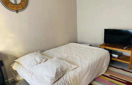 Nice appartement close to CHU - Foto 8