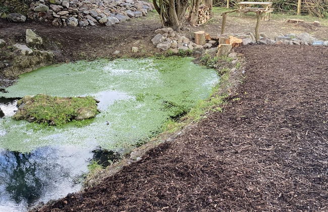 Swift Vogue Edition Caravan - Photo 22