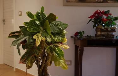 L' Attico di Kely - Photo 28