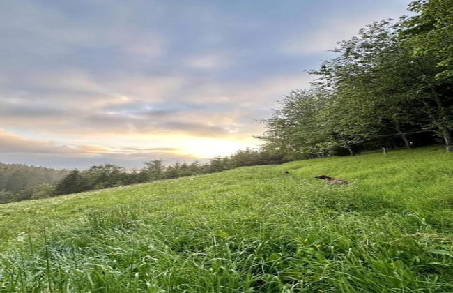 Apartment in Gutenbach With Nearby Forest - Foto 26