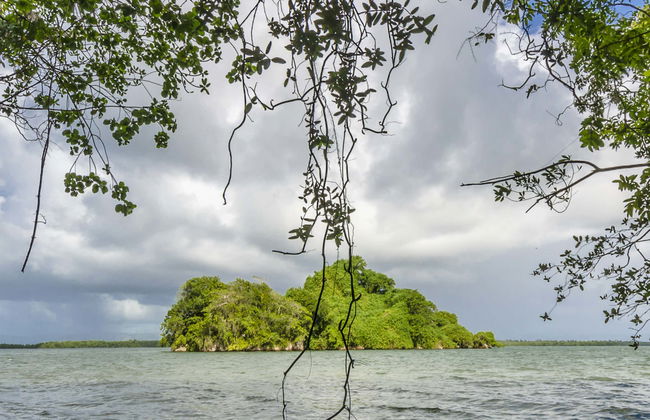 Barco por el Parque Nacional de los Haitises + Entrada a las piscinas de Altos de Caño Hondo - Foto 1