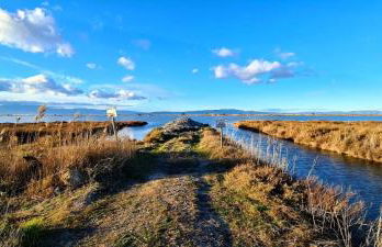Alojamiento Lo Trabucador - Foto 78