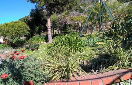 La depandance della Nonna - Foto 6