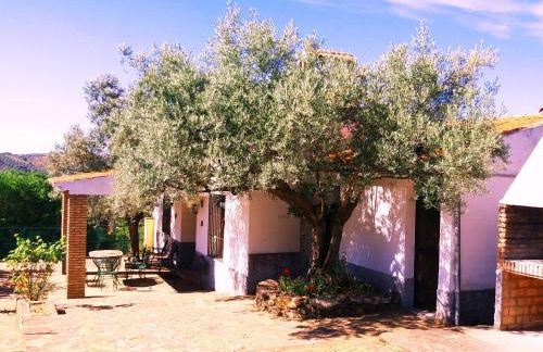 Cortijo "Era Grande 2" - Foto 2