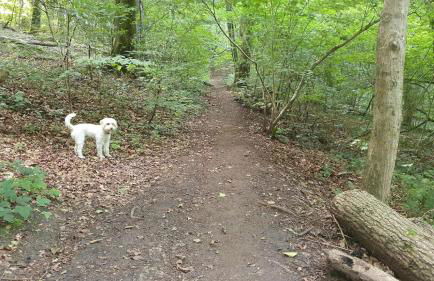 Stylish Town Centre Apartments - Foto 26