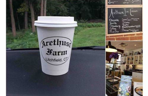 Waterfront Home on Bantam Lake with Private Beach - Foto 6