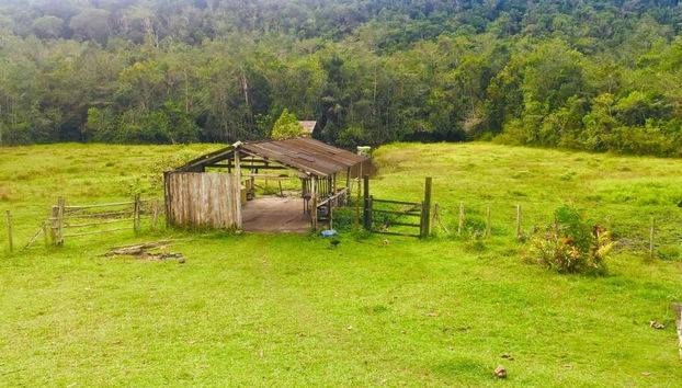 João de Tiba River Boat Trip - Foto 2