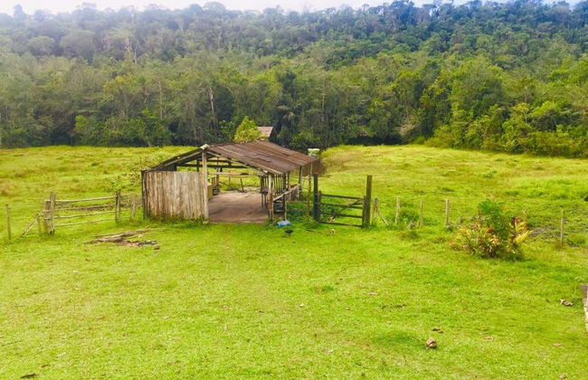 João de Tiba River Boat Trip - Foto 2