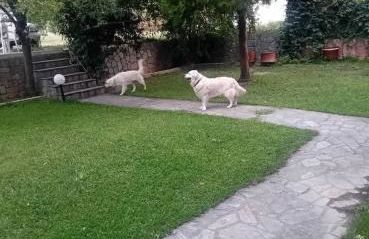 Meteora Grande luxury suite & spa villa - Foto 76