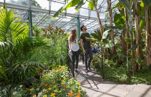 Aberdeen Quiet City Apartment, Ferryhill - Foto 40