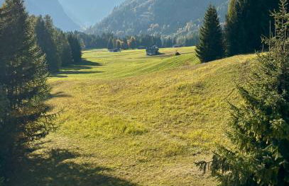 Pragma Apartments - Sky Lodge Bellamonte - Foto 12