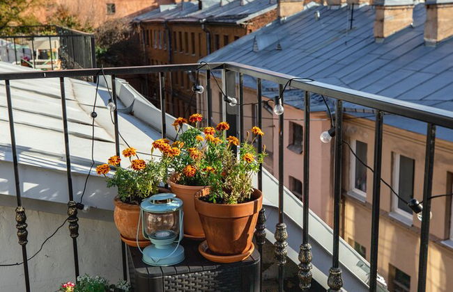 The Faces Petrogradskaya - Foto 33