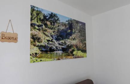 Casa Vacanze Sas Tancas - Foto 7