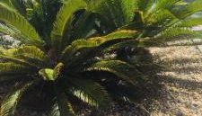 Recanto Vó Mônica - Foto 3