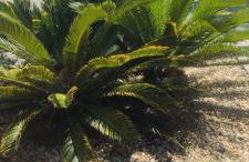 Recanto Vó Mônica - Foto 3